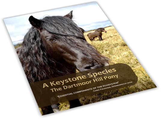 A Keystone Species